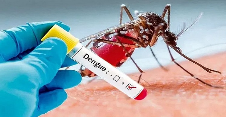 ডেঙ্গুতে আরও ২ মৃত্যু, হাসপাতালে ভর্তি ১৯৫