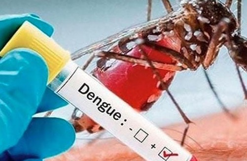 একদিনে বছরের সর্বাধিক ডেঙ্গু রোগী