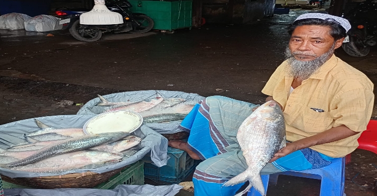 পদ্মা-মেঘনায় নেই রূপালী ইলিশ!
