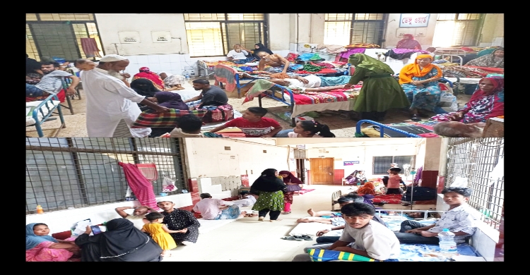 রোগীর চাপে বেসামাল চাঁদপুর সরকারি জেনারেল হাসপাতাল!