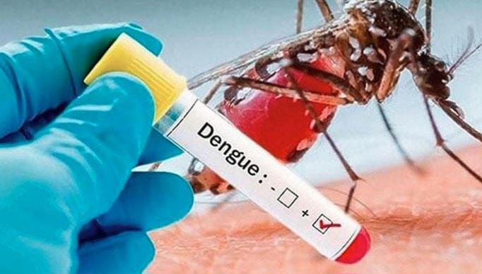 ডেঙ্গু কাড়লো আরও ৪ প্রাণ, শনাক্ত ৩১৯