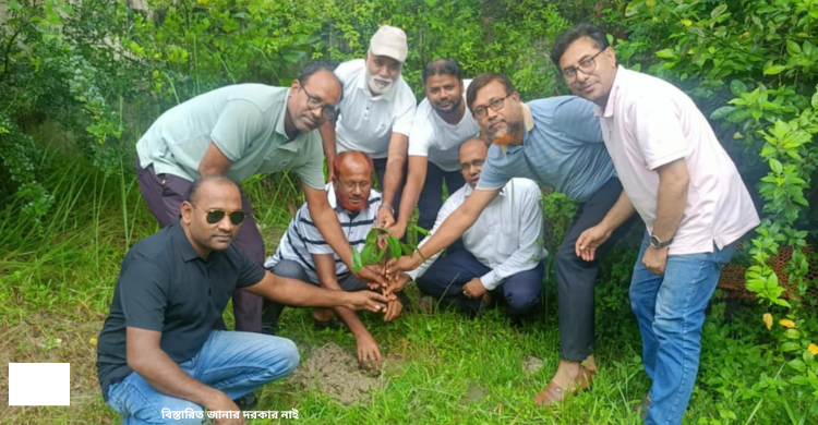 চাঁদপুর পৌর ১৪নং ওয়ার্ড বিএনপির  বৃক্ষ রোপণ কর্মসূচি  উদ্বোধন