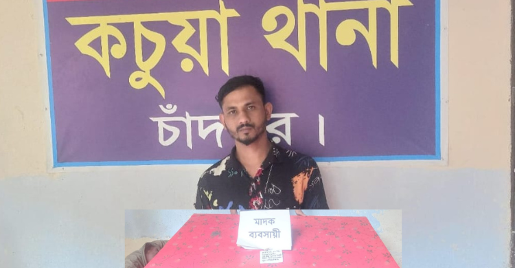 কচুয়ায় ইয়াবা ব্যবসায়ী ইয়াসিন গ্রেফতার
