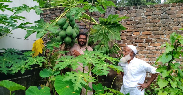 সাংবাদিকের সবজি বাগান : পরিশ্রমে গড়ে তোলা সবুজ স্বপ্ন