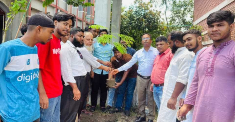 মতলব উত্তরে নব দিগন্ত ফাউন্ডেশনের শুভ উদ্বোধন ও বৃক্ষরোপণ কর্মসূচি সম্পন্ন