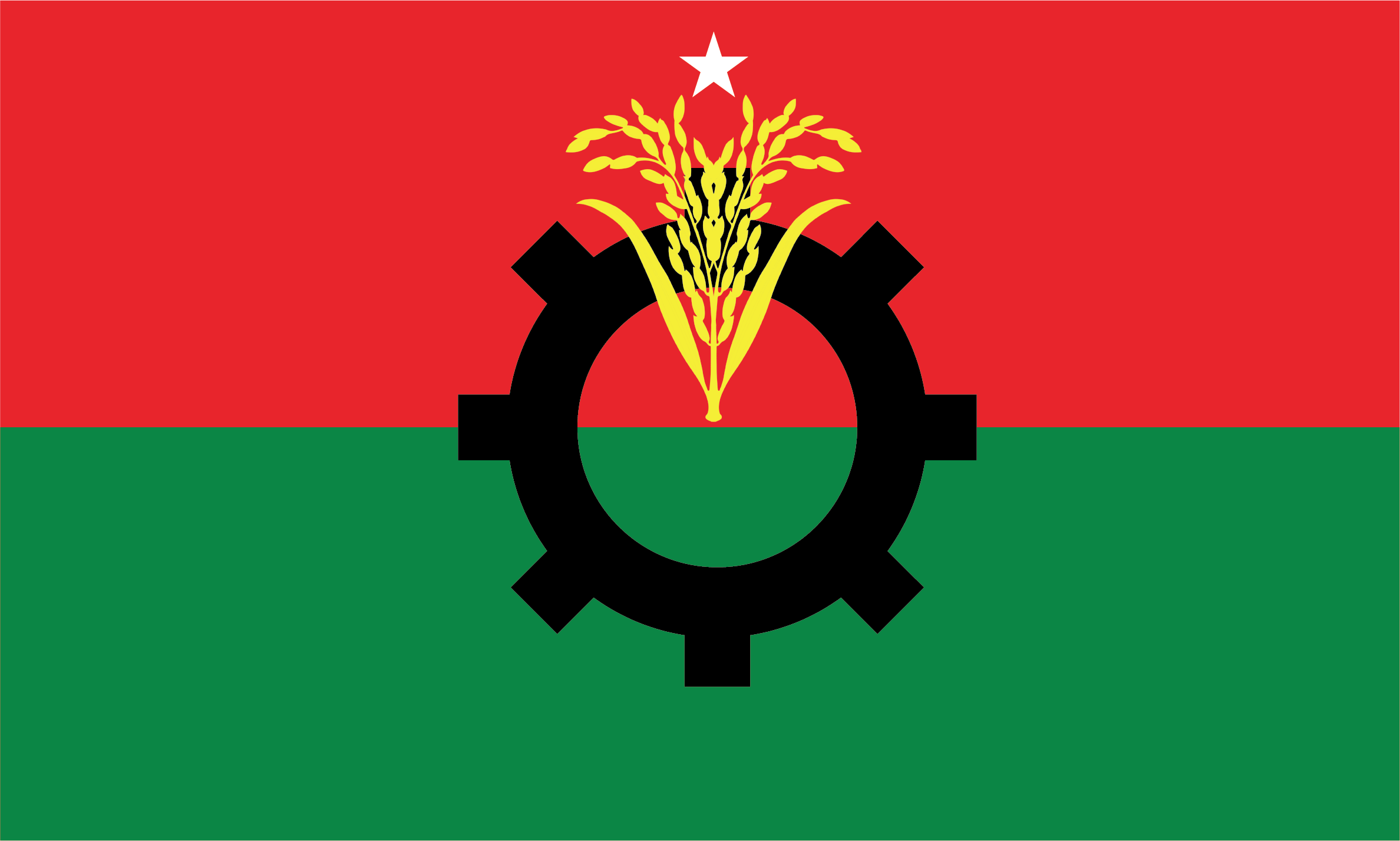 চাঁদপুর সদর ও পৌর বিএনপির দ্বিবার্ষিক সম্মেলনের সংশোধনী নির্বাচনী তফসিল
