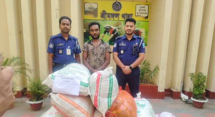 শ্রীমঙ্গলে ভারতীয় ফুচকা সহ আটক ১