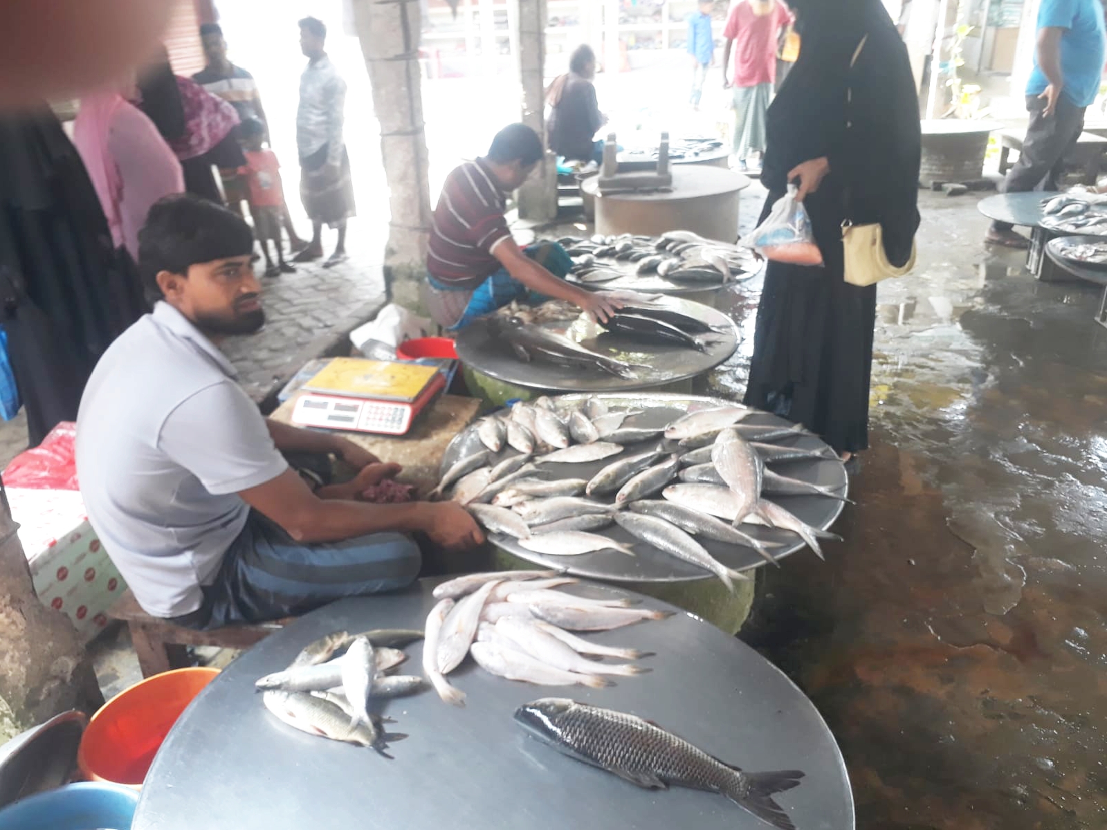 শ্রীনগরে ইলিশের ভরা মৌসুমেও আকাশচুম্বি দাম, বিপাকে সাধারণ ক্রেতা