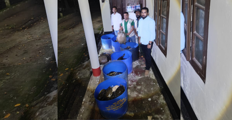 নোয়াখালীতে ৪২৫ কচ্ছপ উদ্ধার