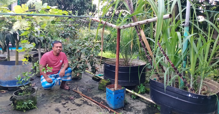 পৌর কর্মী আরিফের নানান রকম ফলসহ গাছ বিক্রির গল্প