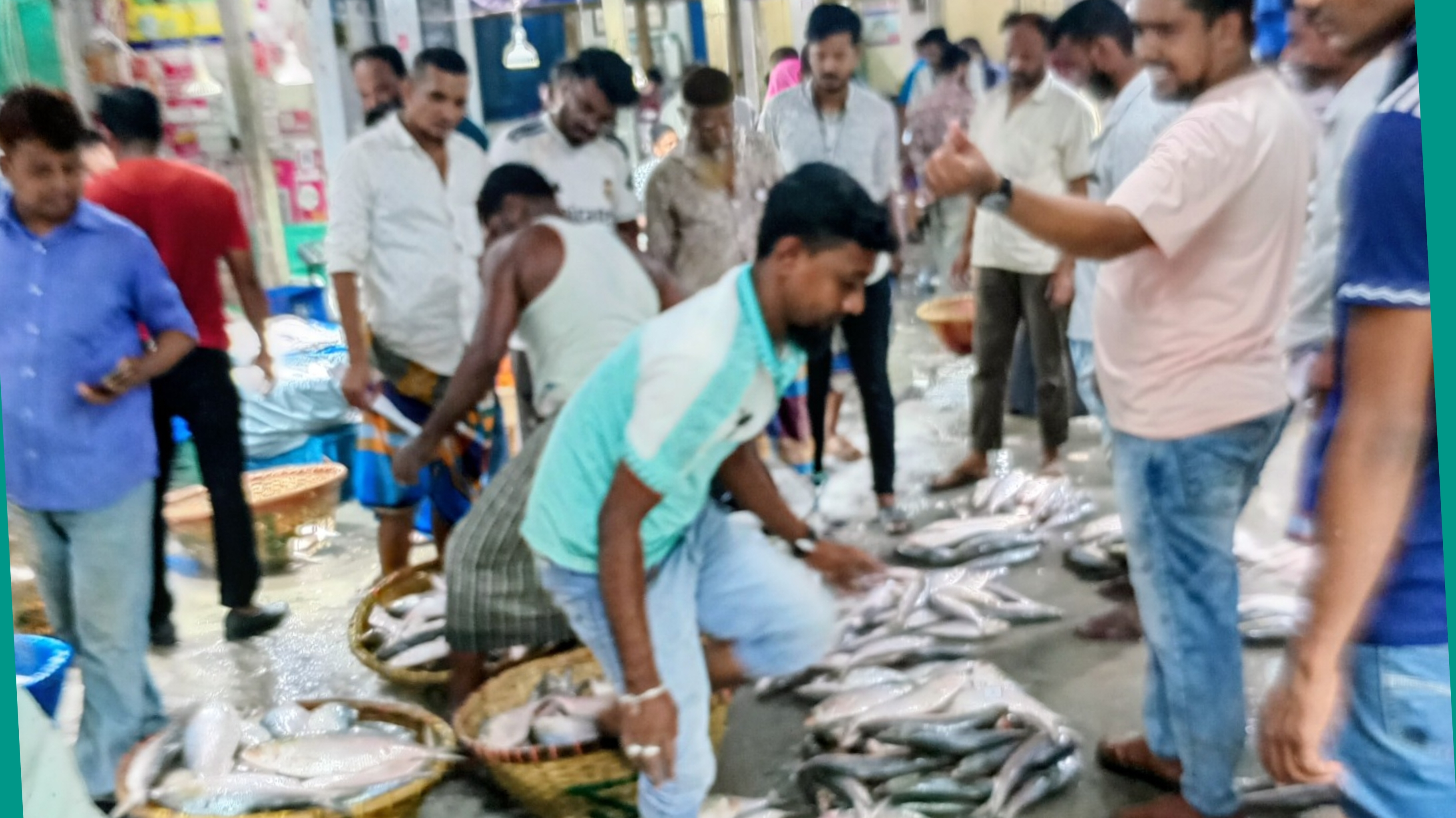 ইলিশের ২২ দিনের নিষেধাজ্ঞা শুরু ৪ অক্টোবর