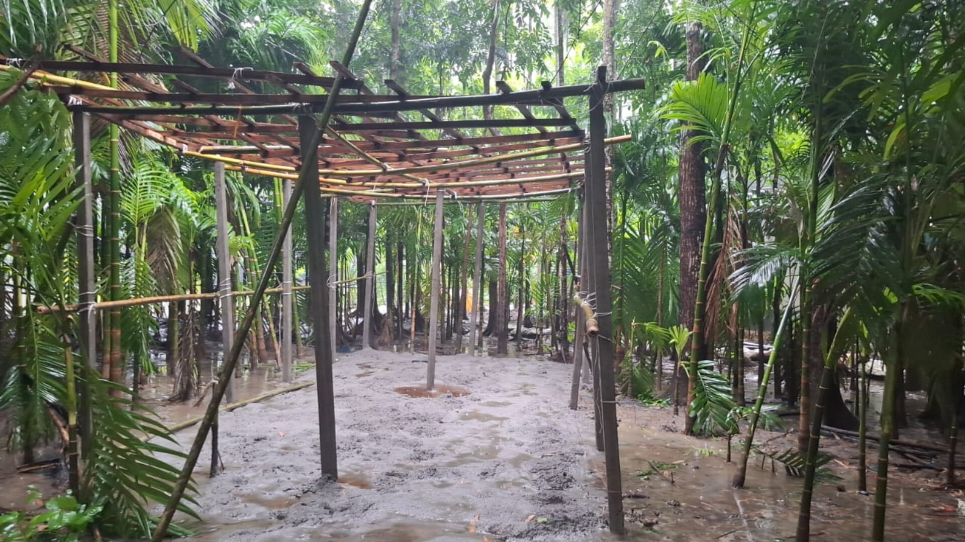 রাতের আঁধারে সৃজনকৃত বাগান কেটে ঘরের কাঠামো নির্মাণ