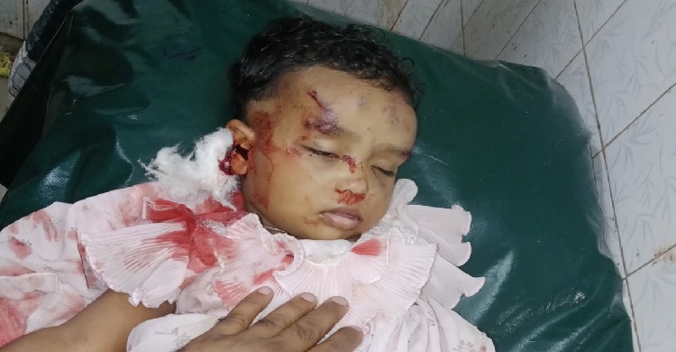 কেমন বাবা-মা?