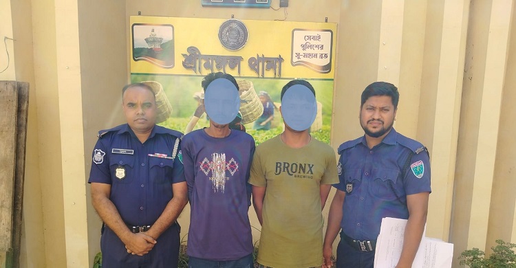 শ্রীমঙ্গলে সাজা ও একাধিক পরোয়ানাভুক্ত ২ আসামি গ্রেপ্তার