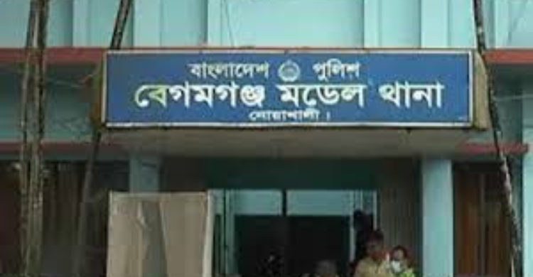 নোয়াখালীতে বিনা ভোটে বিজয়ী হতে নমিনেশন ফরম ছিঁড়ে প্রার্থীর ভাইকে মারধর