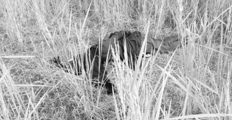 হাইমচরে স্বামীর হাতে অন্তঃসত্ত্বা স্ত্রী খুন