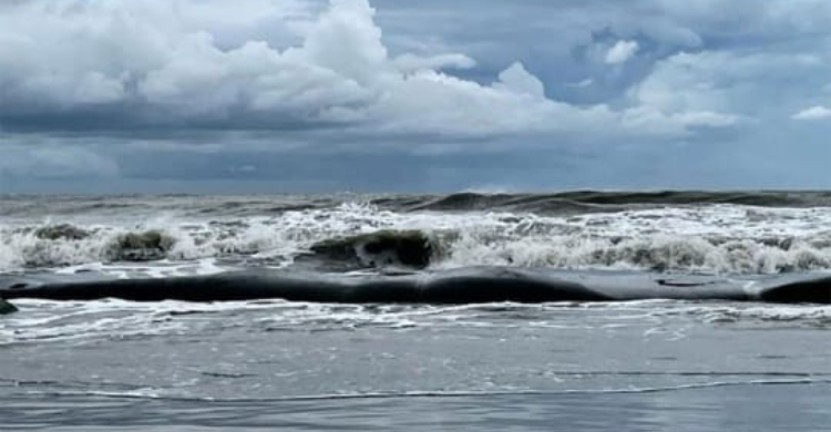 বঙ্গোপসাগরে ঘূর্ণিঝড় ‘ডিটওয়াহ’