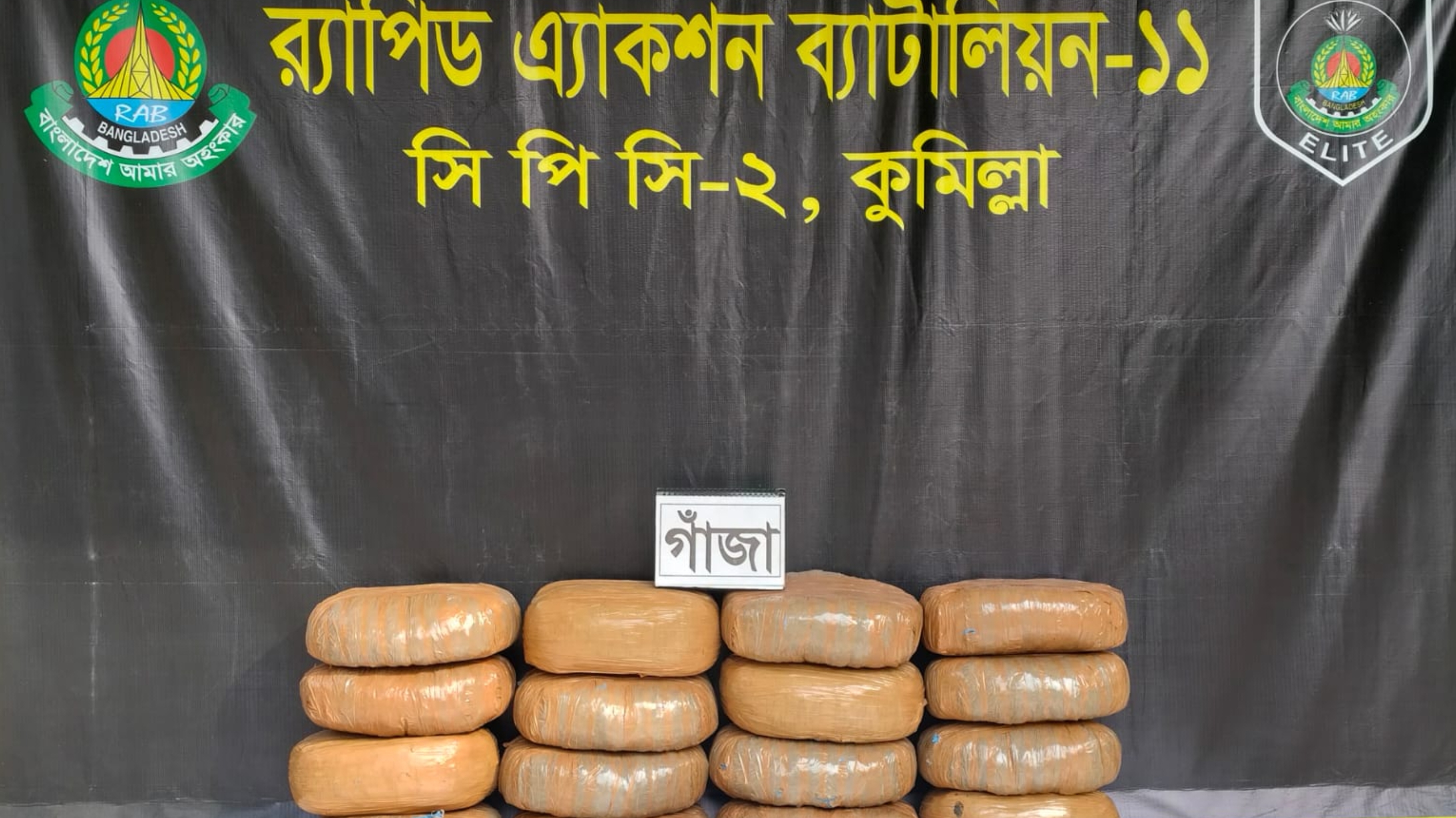 র‌্যাব-১১-এর অভিযানে ৪০ কেজি গাঁজাসহ ১ মাদক ব্যবসায়ী গ্রেফতার