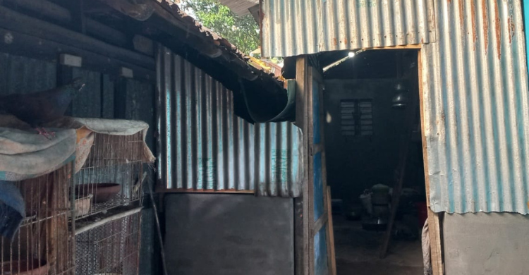 বড়োভাইয়ের বসতঘরের ভেতরে ছোট ভাইয়ের দখলদারিত্ব