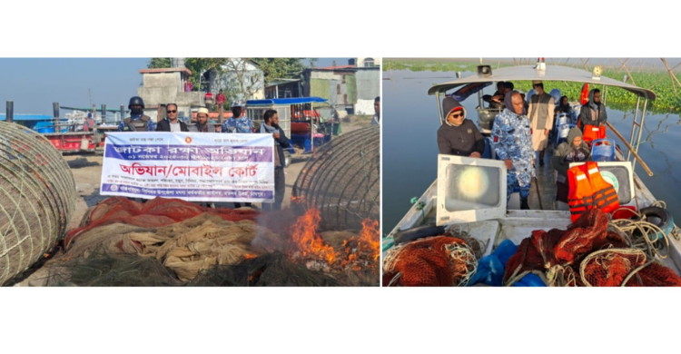 মতলব উত্তরের মেঘনা নদীতে ৬টি জাল ও ১২টি চাঁই জব্দ