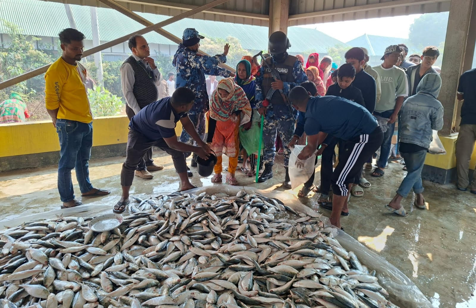 মতলব উত্তরে অভিযানে ৩২ শ' কেজি জাটকা উদ্ধার