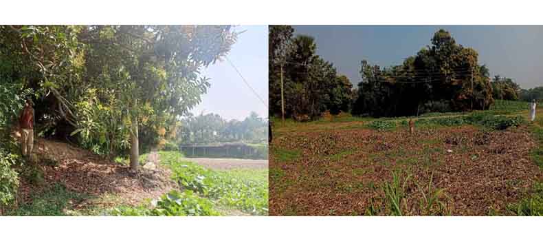 মতলবে জোরপূর্বক জায়গা দখল ও মাটি কাটার অভিযোগ