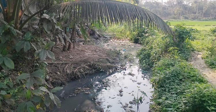 খাল খনন দ্রুত বাস্তবায়ন চায় কৃষকরা
