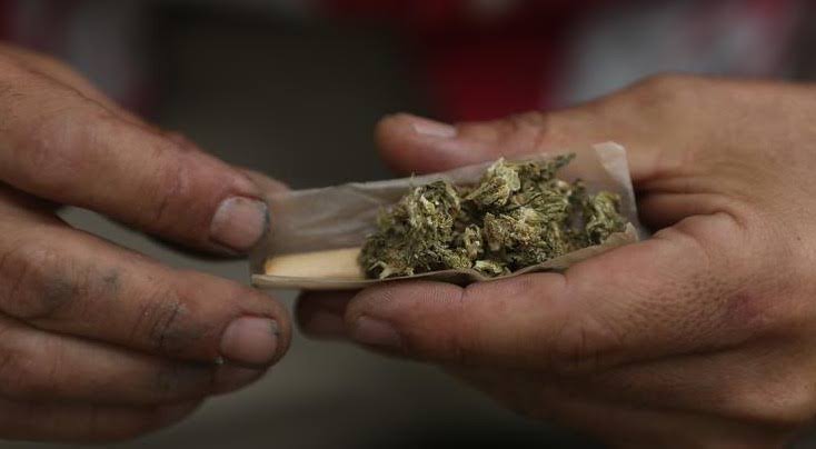 গাঁজা সংরক্ষণকারীকে পাঁচ বছরের সশ্রম কারাদণ্ড