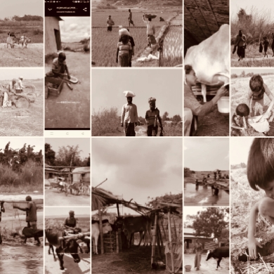 লাঙলের ফলা থেকে স্মার্টফোনের স্ক্রিন: এক হারানো সভ্যতার মহাকাব্য!