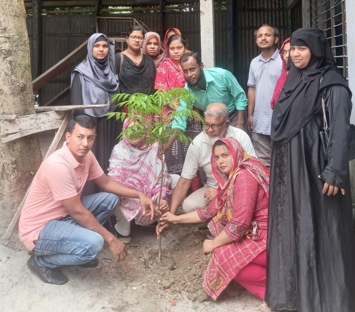 উত্তর পশ্চিম মৈশাদী সরকারি প্রাথমিক বিদ্যালয়ে বৃক্ষরোপণ