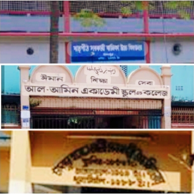 শতভাগ পাস ড্যাফোডিল ও আল-আমিন মডেল মাদ্রাসার