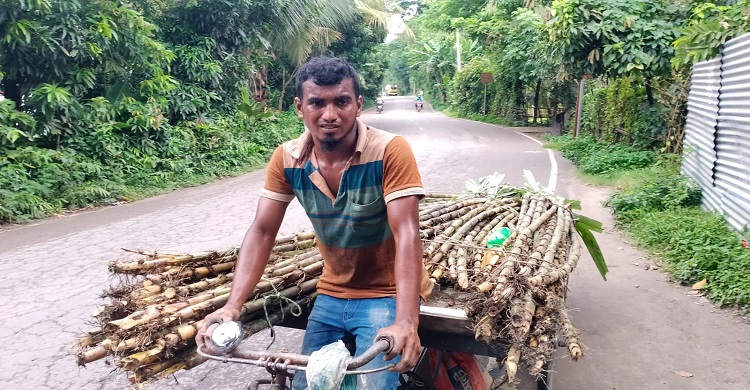 নিজের ক্ষেতের আখ রাস্তায় রাস্তায় বিক্রি করে লাভবান মনির মোল্লা
