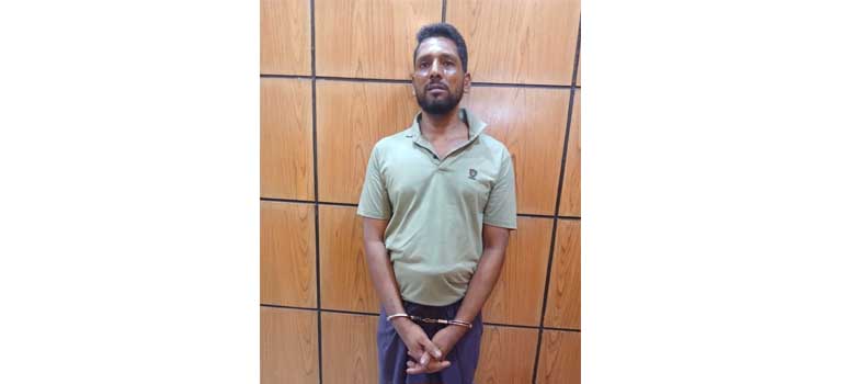 কচুয়ায় ৫ গ্রাম গাঁজাসহ যুবক গ্রেপ্তার, ৫ দিনের কারাদণ্ড