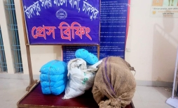চাঁদপুরে পরিত্যক্ত অবস্থায় ১৯ কেজি গাঁজা উদ্ধার