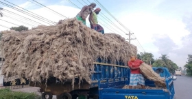 পাটের বাজার এখনও বাবুরহাট!  