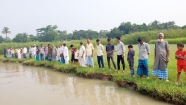 মতলব উত্তরে নদী ভাঙ্গন  থেকে রক্ষা পেতে মানববন্ধন