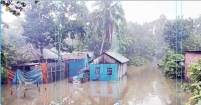 ফরিদগঞ্জে অতিবৃষ্টিতে জলাবদ্ধতায় ক্ষয়ক্ষতির পরিমাণ প্রায় শত কোটি টাকা!