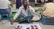 ফরিদগঞ্জে প্রকাশ্যে শিয়ালের মাংস বিক্রি, মুচলেকায় মুক্তি