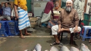 ইলিশ না মিললেও নদীর সব ধরনের মাছই পাচ্ছে জেলেরা