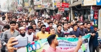 হাজীগঞ্জে ছাত্রদলের বিশাল বিক্ষোভ মিছিল