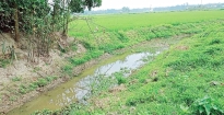 ফরিদগঞ্জে ৬৩ লাখ টাকার খাল খনন প্রকল্প ৬ লাখ টাকায় শেষ!