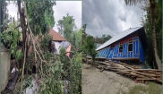 ঝড়ে শাহরাস্তিতে ব্যাপক ক্ষয়ক্ষতি।। বিদ্যুৎ সরবরাহ বন্ধ