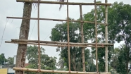 ফরিদগঞ্জে জিয়া পরিবারের ছবিসহ ফেস্টুন ছিঁড়ে ফেলার অভিযোগ