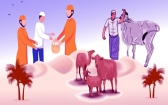 ঈদুল আজহায় করণীয় ও বর্জনীয়