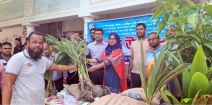 বেশি করে ফল গাছ লাগান এবং ফলের উৎপাদন বৃদ্ধি করুন  ..... .......... ইউএনও সুলতানা রাজিয়া