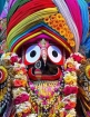 পুরাণবাজার জগন্নাথ মন্দিরে ৯দিনব্যাপী রথযাত্রার ধর্মীয় অনুষ্ঠান