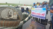 মতলব উত্তরের  মেঘনা নদীতে অভিযানে ৩০০ টি চায়না দুয়ারী চাঁই  জব্দ