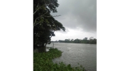 বেলুয়া নদী