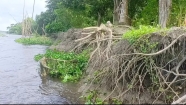 অসময়ে ডাকাতিয়া নদীর ভাঙ্গন, আতঙ্কিত হাজারো পরিবার