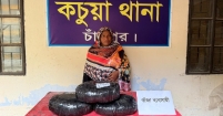 কচুয়ায় ৭ কেজি গাঁজাসহ  ১ জন গ্রেফতার
